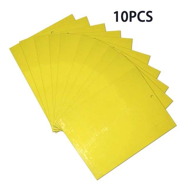 10 יח'
