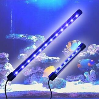 נורות LED לאקווריומים של דגים – הכרחי לכל סוג אקווריום