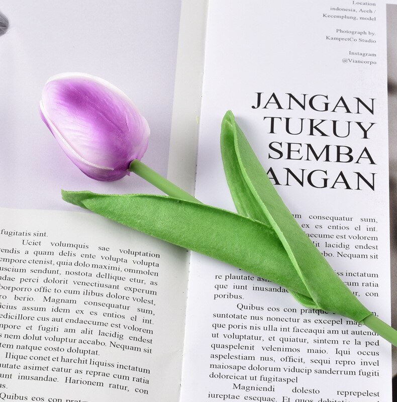 purple white